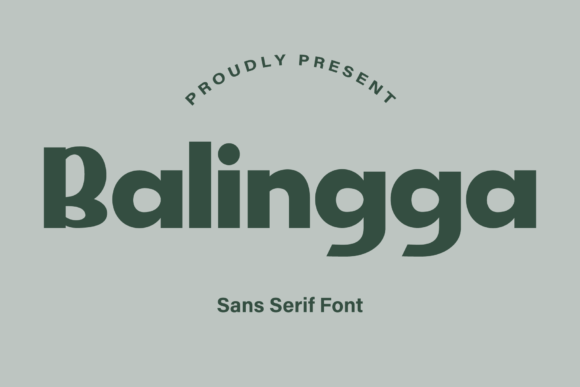 Balingga: A Modern Sans Serif for Web Design
