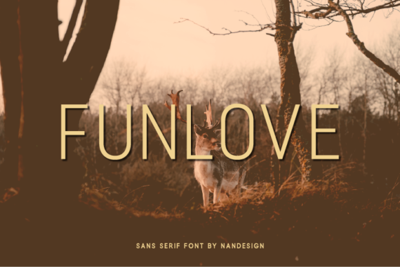 Funlove Font for Web Design