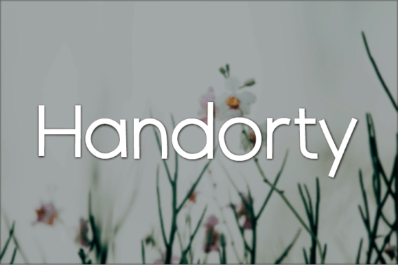Handorty: A Font That Elevates Your Brand