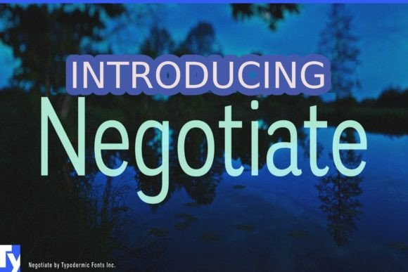 Negotiate: A Font for Web Designers